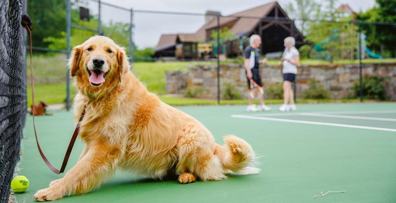 Outdoor activities at The Sanctuary