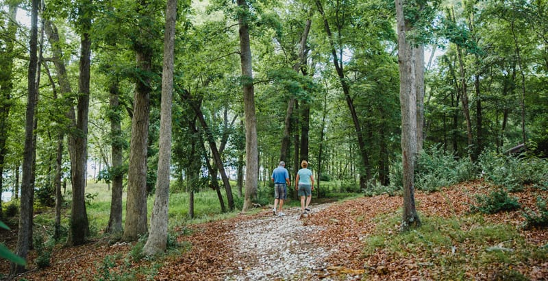 Wooded nature trail